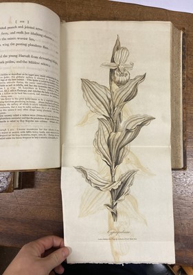 Lot 90 - Darwin (Erasmus). The Temple of Nature, 1st edition, 1805