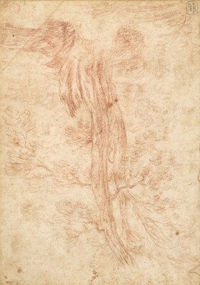 Lot 25 - Circle Anthony van Dyck (1599-1641). Study of a Tree, early to mid 17th century