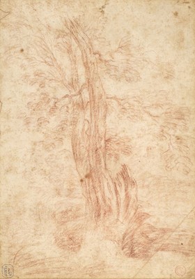 Lot 5 - Circle of Anthony van Dyck (1599-1641). Study of a Tree, early to mid 17th century