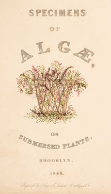 Lot 680 - Pressed Algae. Specimens of Algae, or Submersed Plants, Prepared by Eliza A. Jordan, Brooklyn, 1848