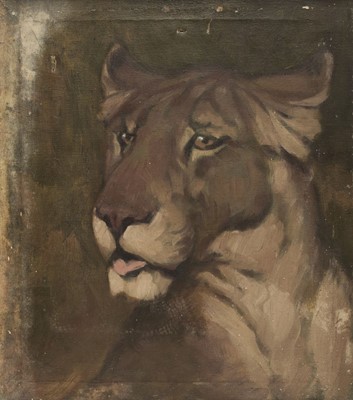 Lot 280 - Brien (Stanislaus, 20th century). Lion's Head, oil on canvas