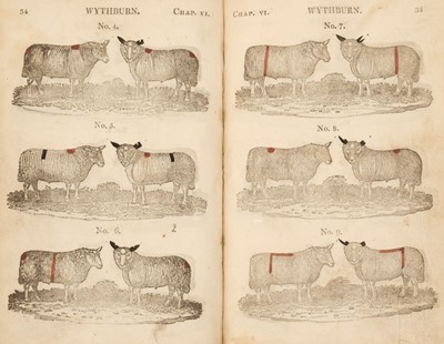 Lot 320 - Sheep marks. The Shepherd's Guide, by William Mounsey & William Kirkpatrick