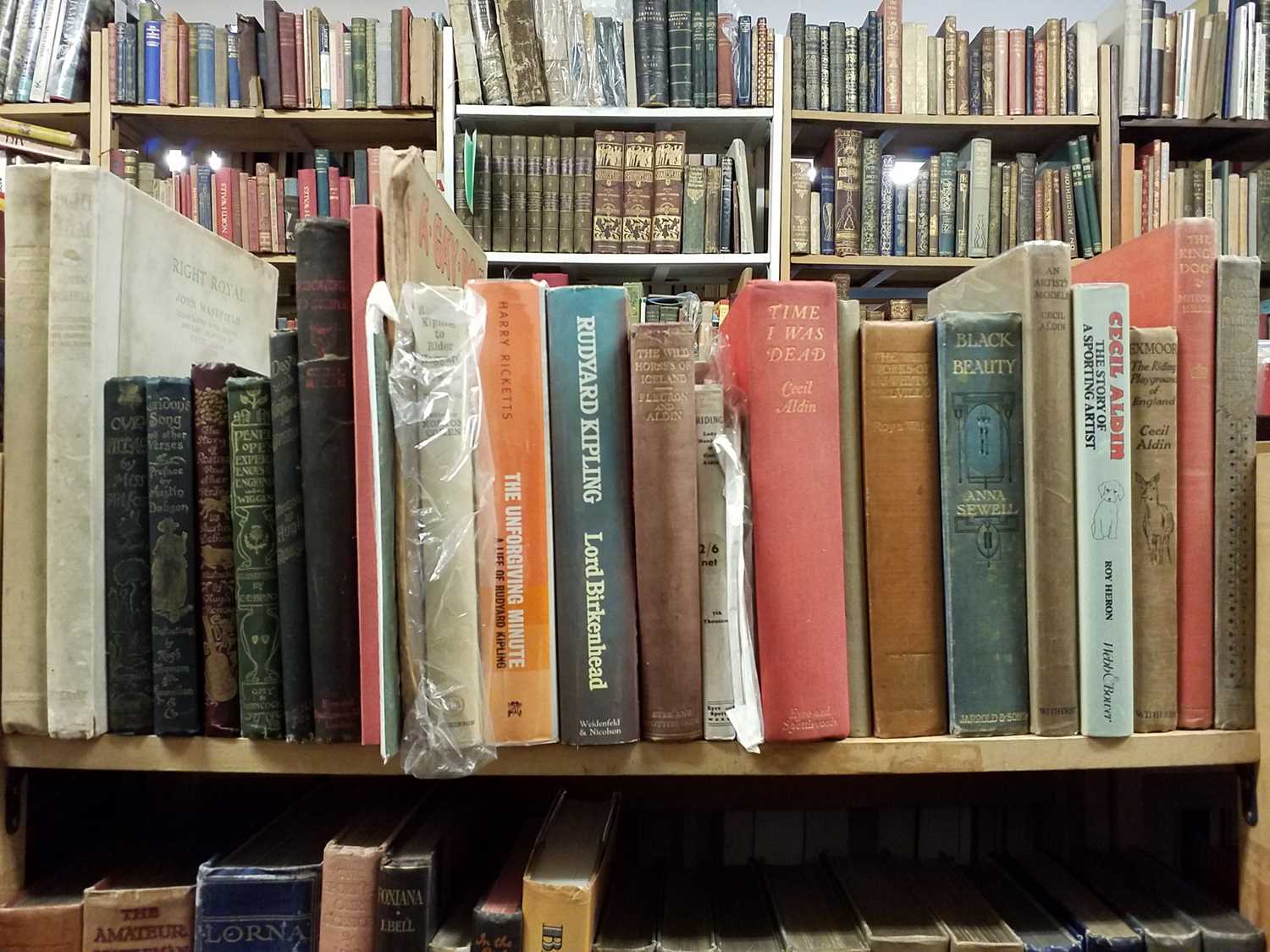 Lot 456 - Literature. A large collection of late 19th