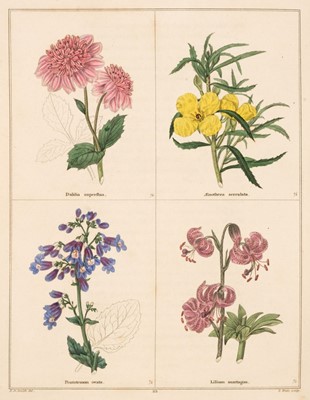Lot 61 - Maund (Benjamin). The Botanic Garden, 1825-51