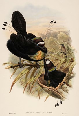 Lot 215 - Gould (J. & Hart W.). Three Lithographs of Birds of Paradise [1878 - 88]