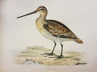 Lot 62 - Morris (Beverly Robinson). British Game Birds..., London: Groombridge and Sons, [1889]