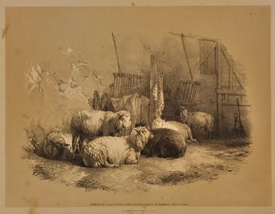 Lot 358 - Cooper (Thomas Sidney). Studies of Cattle, drawn from nature..., Parts 1 & 2, New Edition