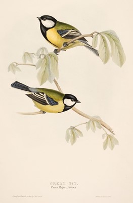 Lot 209 - Gould (J. & E.). A collection of 10 lithographs of Tits [1832 - 37]