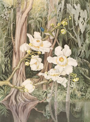 Lot 66 - Mee (Margaret). Flores do Amazonas, Flowers of the Amazon, Rio de Janeiro: Record, 1980