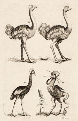 Lot 223 - Natural History. A mixed collection of approximately 100 prints and engravings, 18th & 19th century