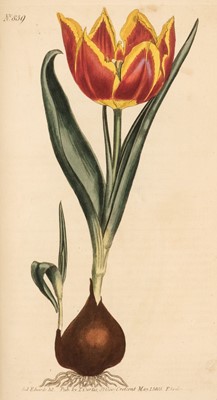 Lot 78 - Curtis (William). Botanical Magazine, 2 volumes in one, 1805