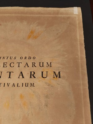 Lot 195 - Besler (Basilius). Flos Solis maior, Eichstatt [1713]