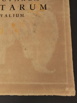Lot 195 - Besler (Basilius). Flos Solis maior, Eichstatt [1713]