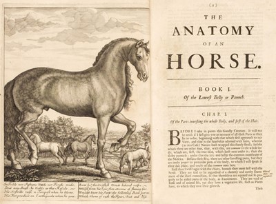 Lot 96 - Snape (Andrew). The Anatomy of an Horse, 1st edition, London