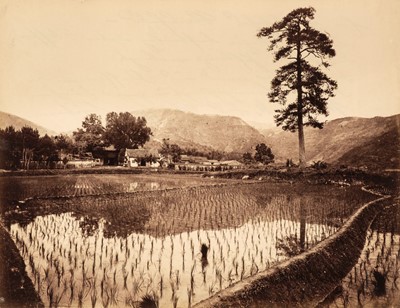 Lot 4 - China. Chinese Rice Field, unidentified photographer, c. 1870