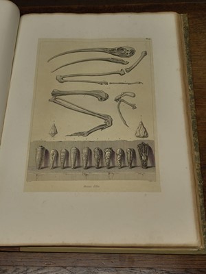 Lot 16 - Denon (Dominique Vivant). Planches du voyage dans la Basse et la Haute Egypte, atlas only, 1829