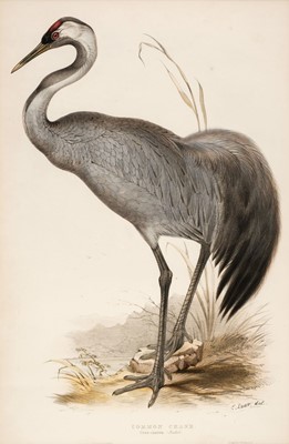 Lot 219 - Lear (Edward). Common Crane [1832 - 37]