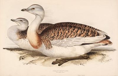 Lot 206 - Lear (Edward). Great Bustard [1832 - 37]