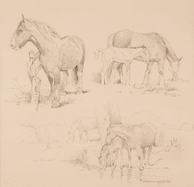 Lot 169 - Benningfield (Gordon George, 1936 - 98). Pencil drawings of Horses