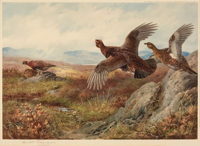 Lot 240 - Thorburn (Archibald). Red Grouse, W. F. Embleton, 1927