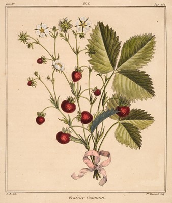 Lot 193 - Fruit & Botany. A collection of approximately 150 prints & engravings, 18th & 19th century