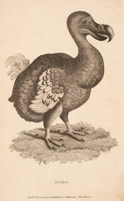 Lot 215 - Natural History. A collection of approximately 280 prints, 18th & 19th century