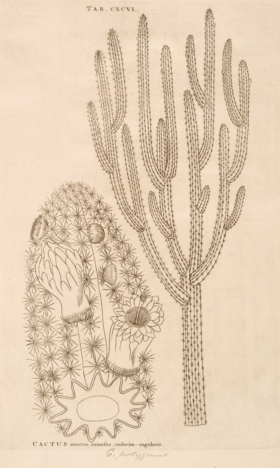 Lot 67 - Plumier (Charles). Plantarum Americanarum fasciculus primus [-Decimus], 10 parts in 2 vols., 1755-60
