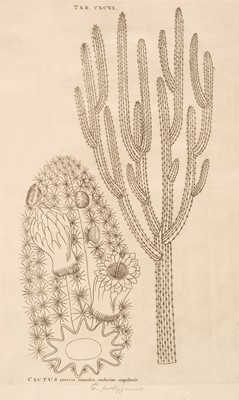 Lot 67 - Plumier (Charles). Plantarum Americanarum fasciculus primus [-Decimus], 10 parts in 2 vols., 1755-60