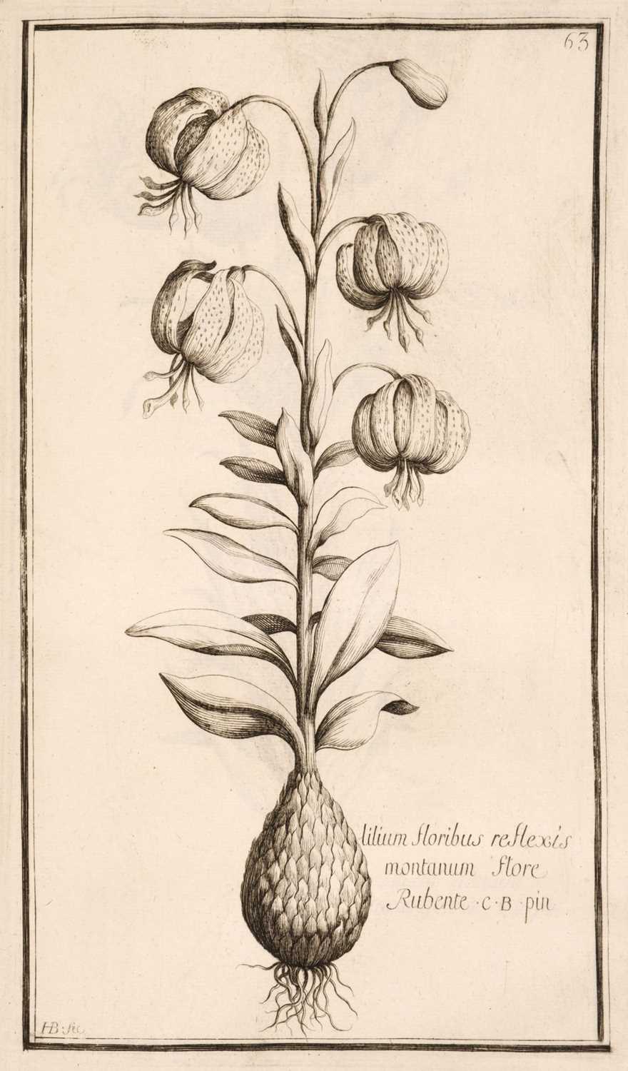 Lot 58 Garidel (Pierre Joseph). Histoire des Plantes