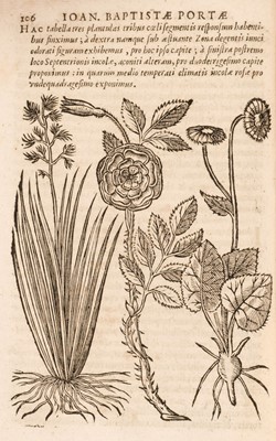 Lot 68 - Porta (Giambattista della). Phytognomonica..., octo libris contenta..., 1650
