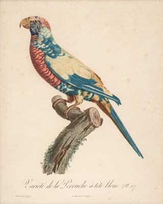 Lot 168 - Barraband (Jacques, 1768-1809). L'ara mara cana mâle. Pl. 8..., circa 1805..., and others