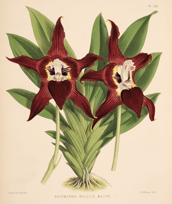 Lot 70 - Warner (Robert). The Orchid Album, 11 vols., 1882-1897