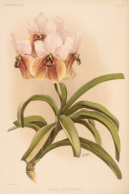 Lot 69 - Sander (Frederick). Reichenbachia. Orchids Illustrated and Described, 4 vols., 1888-1894