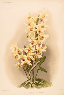 Lot 121 - Sander (Frederick). Reichenbachia. Orchids Illustrated and Described, 4 vols., 1888-1894