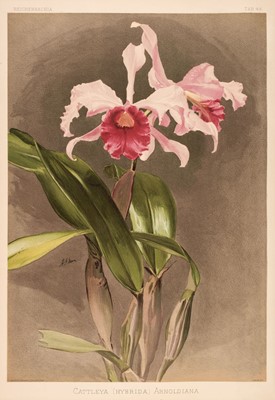 Lot 121 - Sander (Frederick). Reichenbachia. Orchids Illustrated and Described, 4 vols., 1888-1894