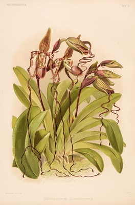 Lot 121 - Sander (Frederick). Reichenbachia. Orchids Illustrated and Described, 4 vols., 1888-1894
