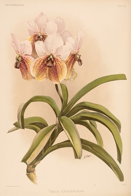 Lot 121 - Sander (Frederick). Reichenbachia. Orchids Illustrated and Described, 4 vols., 1888-1894