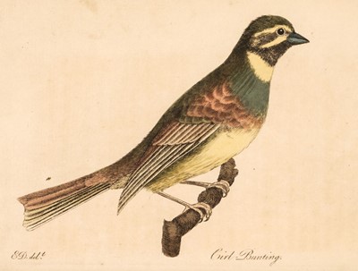 Lot 4 - Montagu (George). Ornithological Dictionary, 3 volumes including supplement, 1802-1813