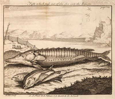 Lot 100 - Williamson (John). The British Angler, 1st edition, 1740