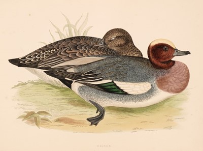 Lot 110 - Morris (Beverly R.). British Game Birds and Wildfowl, 1st edition, London: Groombridge & Sons, 1855