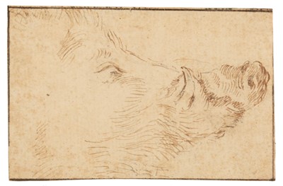 Lot 51 - Bella (Stefano Della, 1610-1664). Boar & Child's Head, two brown ink drawings on laid paper