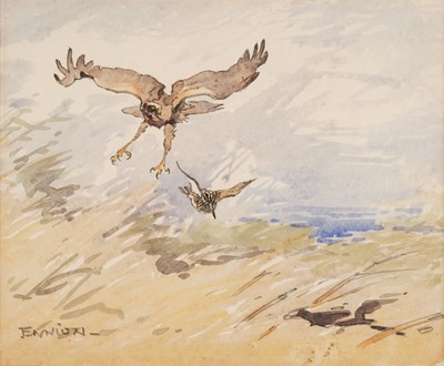 Lot 177 - Ennion (Eric, 1900-1981). Hen Harrier and Snipe, watercolour with pencil