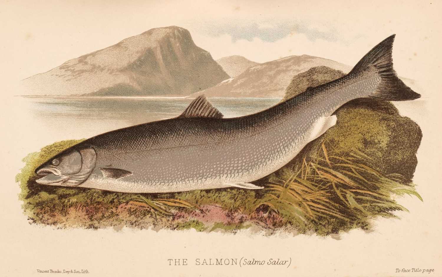 Lot 55 - Cholmondeley-Pennell (H.). The Sporting Fish