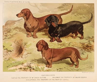 Lot 122 - Shaw (Vero). The Illustrated Book of the Dog, London: Cassell & Company, 1890