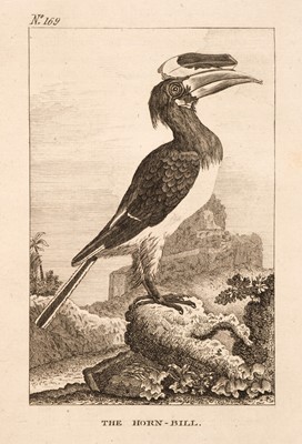 Lot 81 - Buffon (Georges-Louis le Clerc, Comte de). Natural History of Birds, 9 volumes, 1793