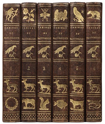 Lot 123 - Smith (Thomas). Le Cabinet du Jeune Naturaliste, 6 volumes, Paris, 1810