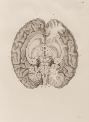 Lot 383 - Gall (Franz Joseph & Spurzheim, Johann Gaspar). Anatomie et Physiologie... , 1810-19