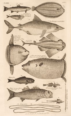 Lot 33 - Borlase (William). The Natural History of Cornwall, 1st edition, 1758