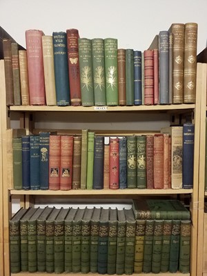 Lot 261 - Miscellaneous. A collection of mid-late 19th & 20th Century literature