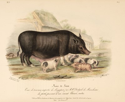 Lot 107 - Low (David). Histoire Naturelle-Agricole des Animaux Domestiques de L'Europe, 1844-46